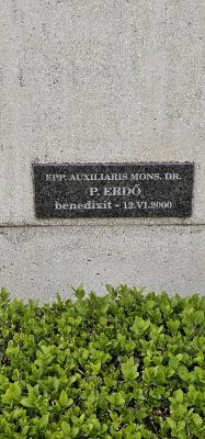 Parlamenti képviselet...